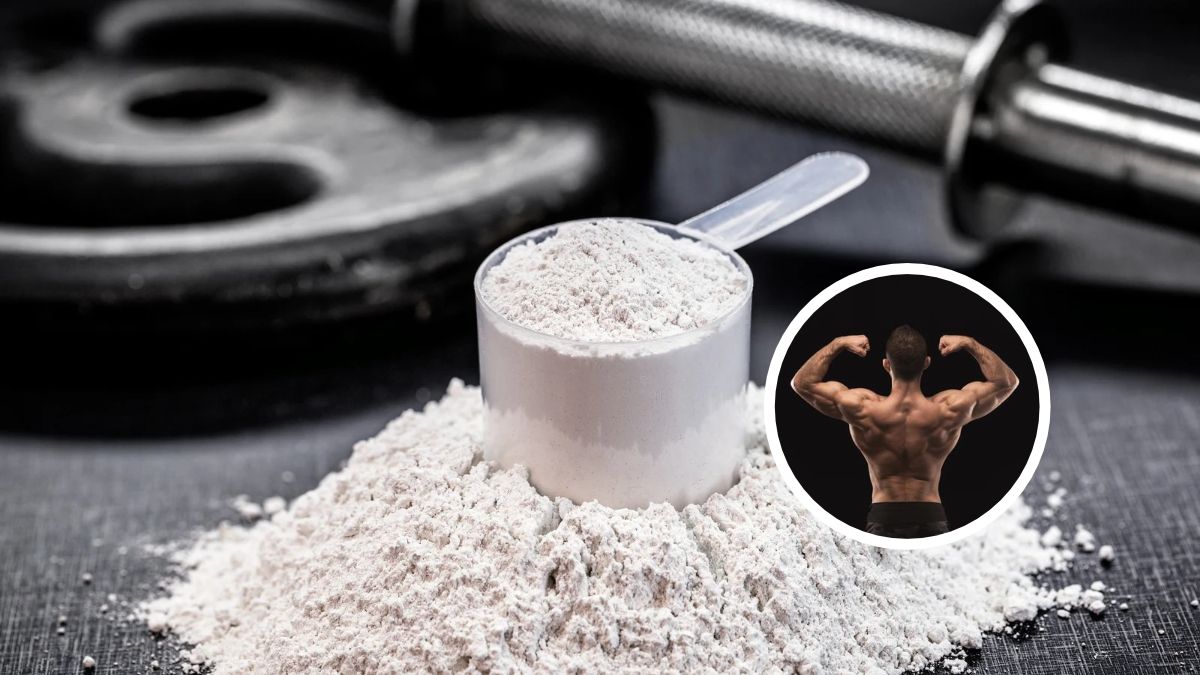 Creatina pode aumentar músculos sem exercício? O que diz a ciência?