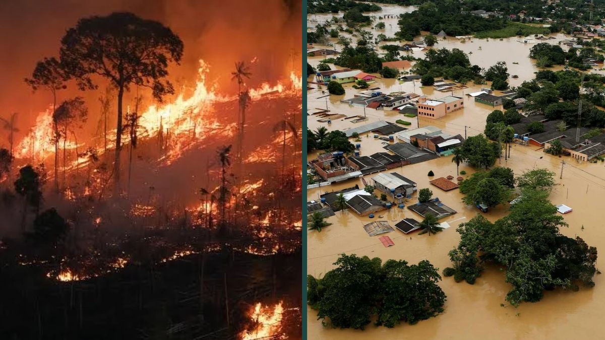 El niño extremo divide o Brasil entre recordes de fogo e água