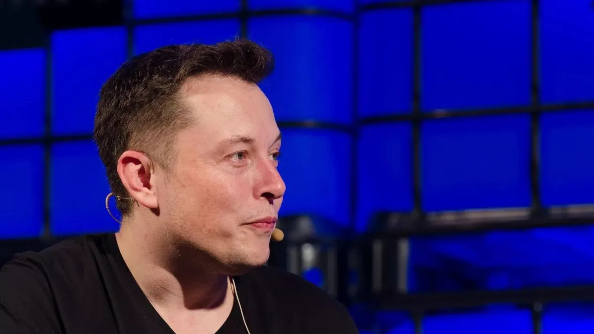 Os pequenos passageiros viajaram em uma missão de abastecimento da SpaceX, empresa fundada por Elon Musk
