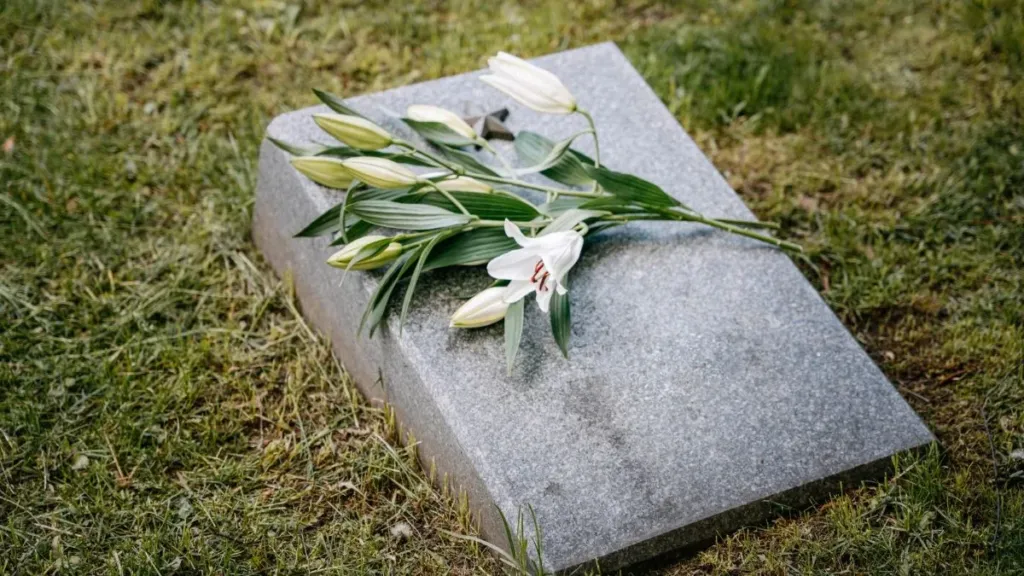 Mulher morre após ChatGPT sugerir alterar a dosagem dos medicamentos