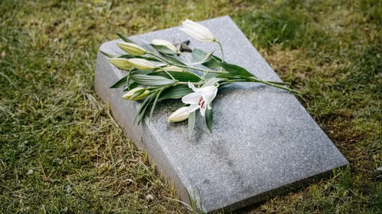 Mulher morre após ChatGPT sugerir alterar a dosagem dos medicamentos