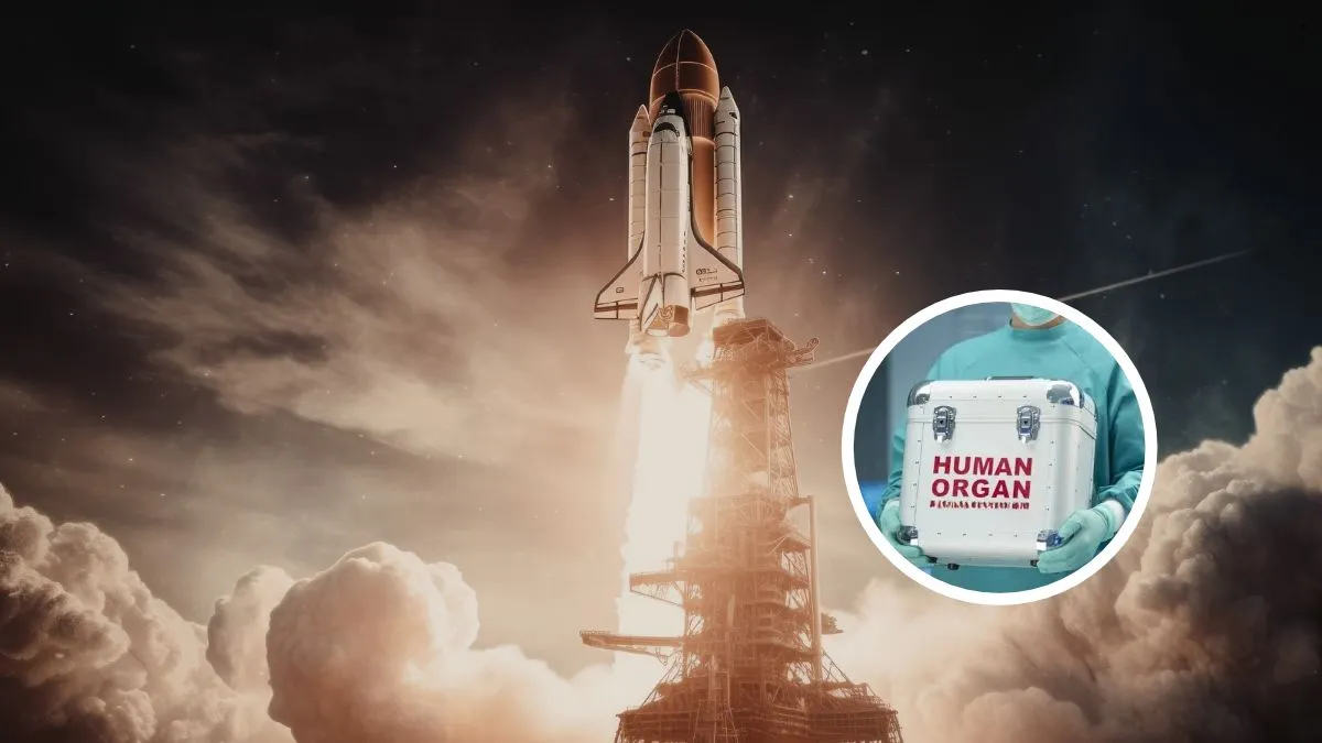 Por que a NASA enviou amostras de coração e cérebro para o espaço?