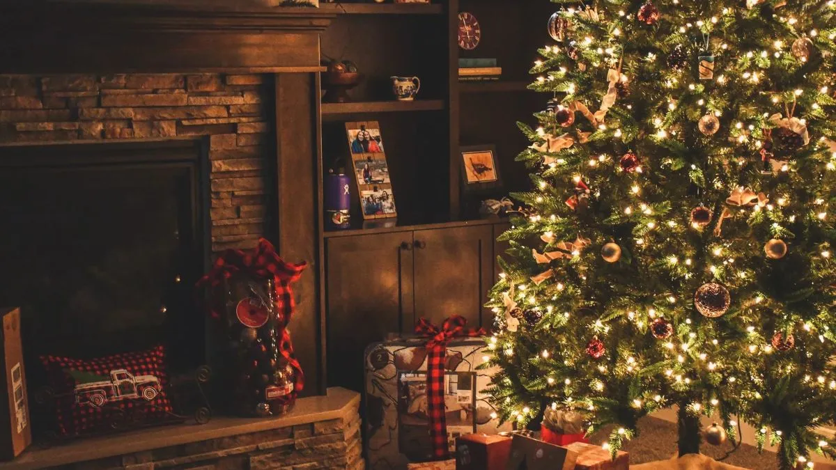 A árvore de Natal pode carregar boas lembranças. A data em que ela sai da caixa, sozinha, não mede a felicidade de ninguém.
